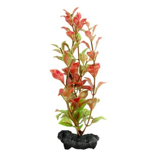 Декорація для акваріума Tetra DecoArt Plantastics рослина з обважнювачем «Red Ludwigia» L 30 см (пластик) - masterzoo.ua