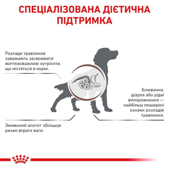 Сухий корм для собак Royal Canin Gastro Intestinal 15 кг - masterzoo.ua