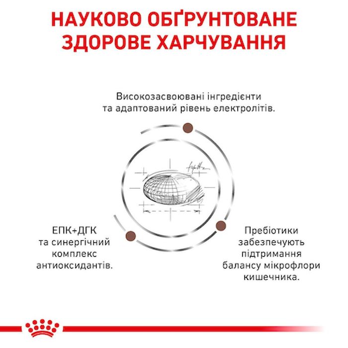 Сухий корм для собак Royal Canin Gastro Intestinal 15 кг - masterzoo.ua