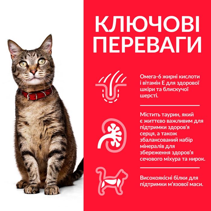 Сухий корм для котів Hill's Science Plan Adult 300 г - ягня - masterzoo.ua