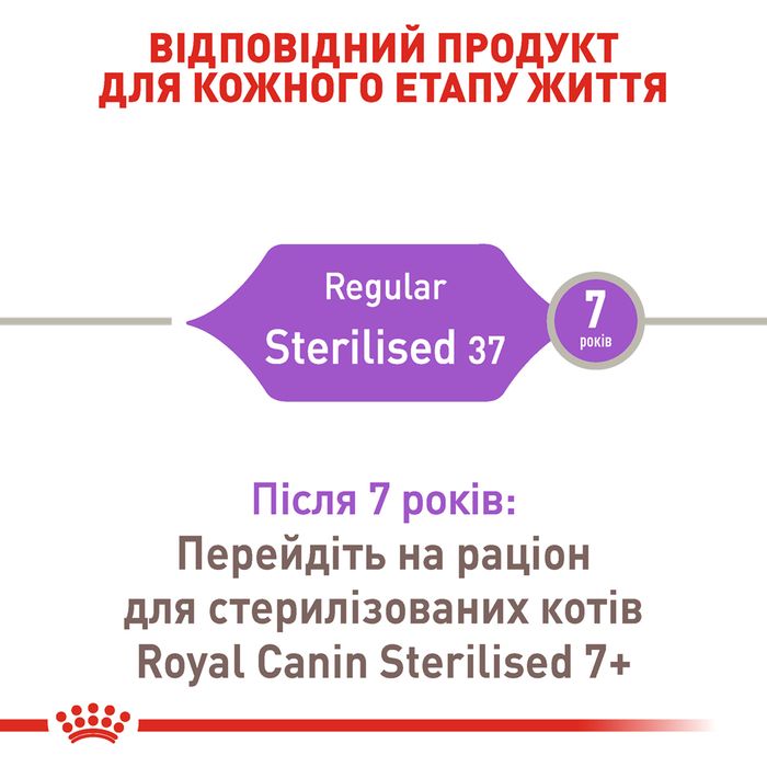 Сухий корм для котів Royal Canin Sterilised 37, 10 кг - masterzoo.ua