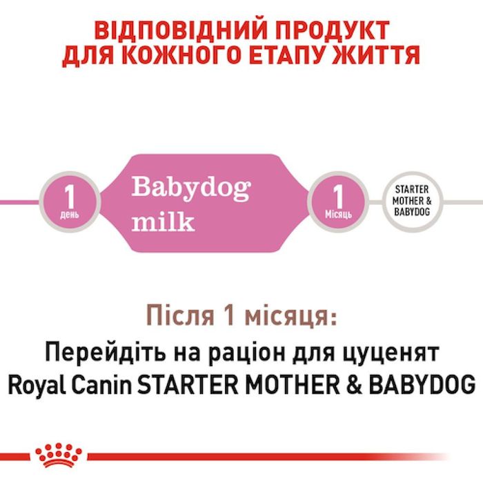 Замінник молока для собак Royal Canin BabyMilk 2 кг - masterzoo.ua