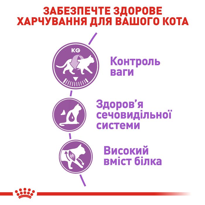 Сухий корм для котів Royal Canin Sterilised 37, 10 кг - masterzoo.ua