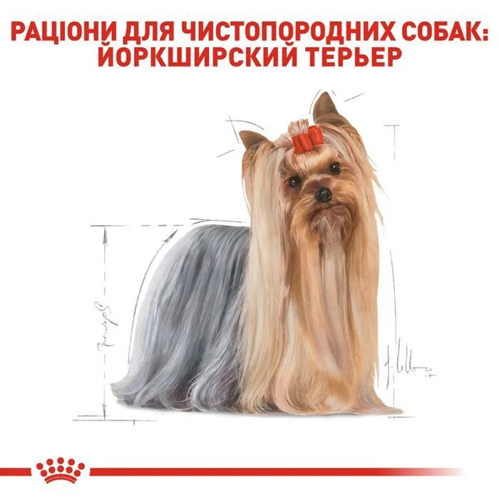 Сухий корм для собак Royal Canin Yorkshire Terrier Adult 500 г - masterzoo.ua
