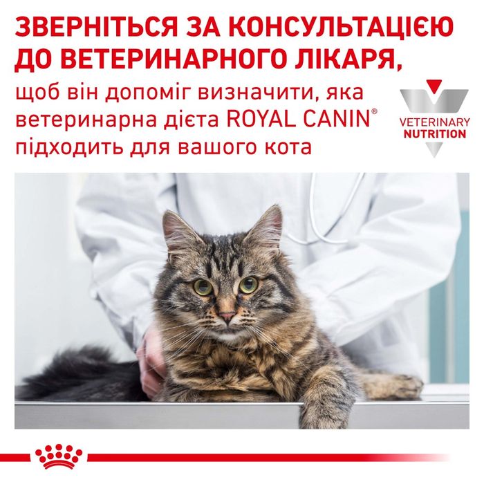 Сухий корм для котів Royal Canin Urinary S/O 3,5 кг - masterzoo.ua