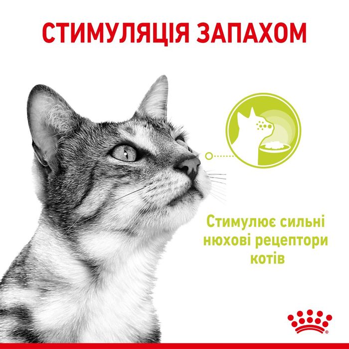 Вологий корм для котів Royal Canin Sensory Smell Gravy pouch 85 г - masterzoo.ua