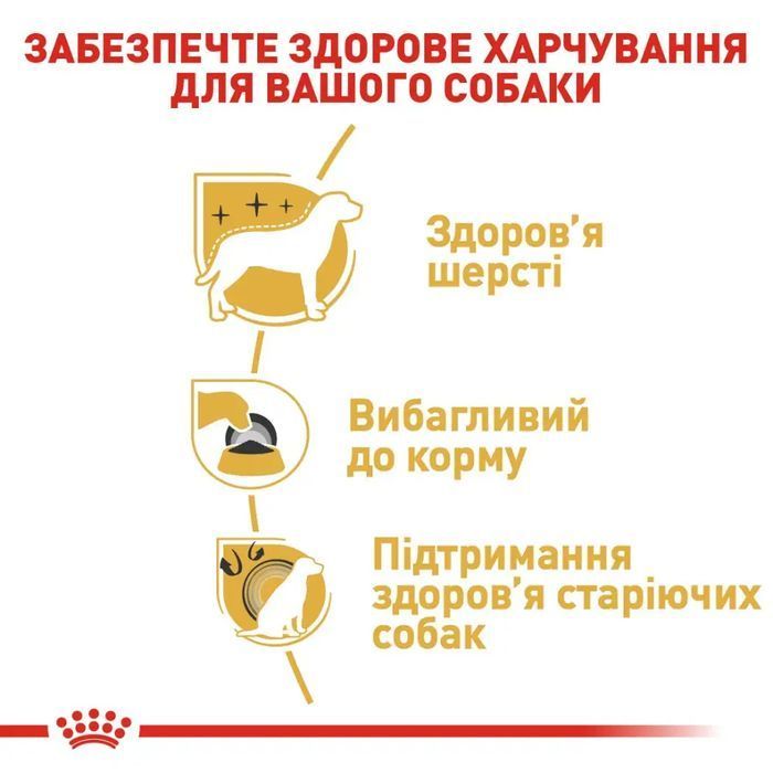 Сухий корм для собак Royal Canin Yorkshire Terrier Adult 500 г - masterzoo.ua