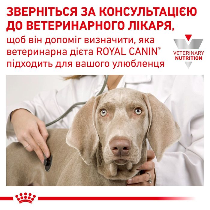 Вологий корм для котів і собак Royal Canin Recovery 195 г- dgs - masterzoo.ua