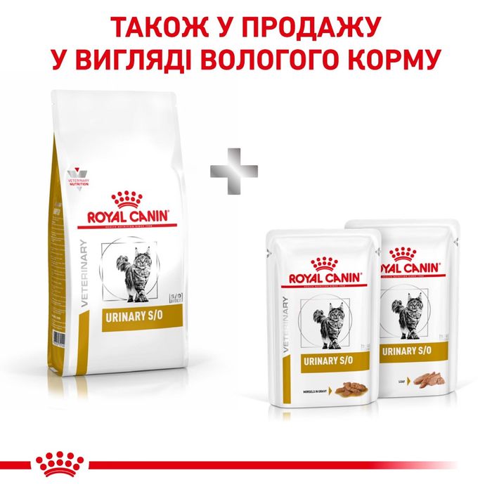 Сухий корм для котів Royal Canin Urinary S/O 3,5 кг - masterzoo.ua