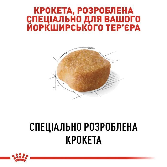 Сухий корм для собак Royal Canin Yorkshire Terrier Adult 500 г - masterzoo.ua