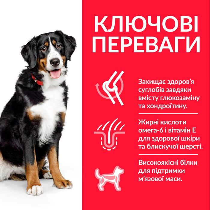 Сухий корм для собак Hill’s Science Plan Adult Large Breed 14 кг - курка - masterzoo.ua