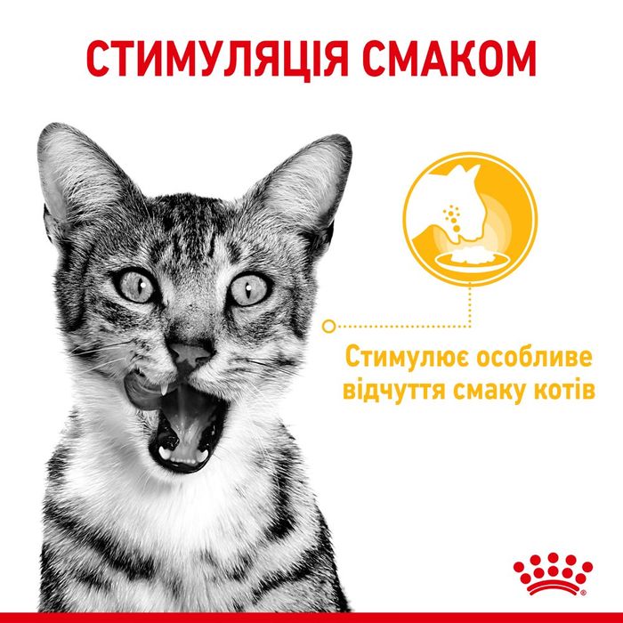 Вологий корм для котів Royal Canin Sensory Taste Gravy pouch 85 г - masterzoo.ua