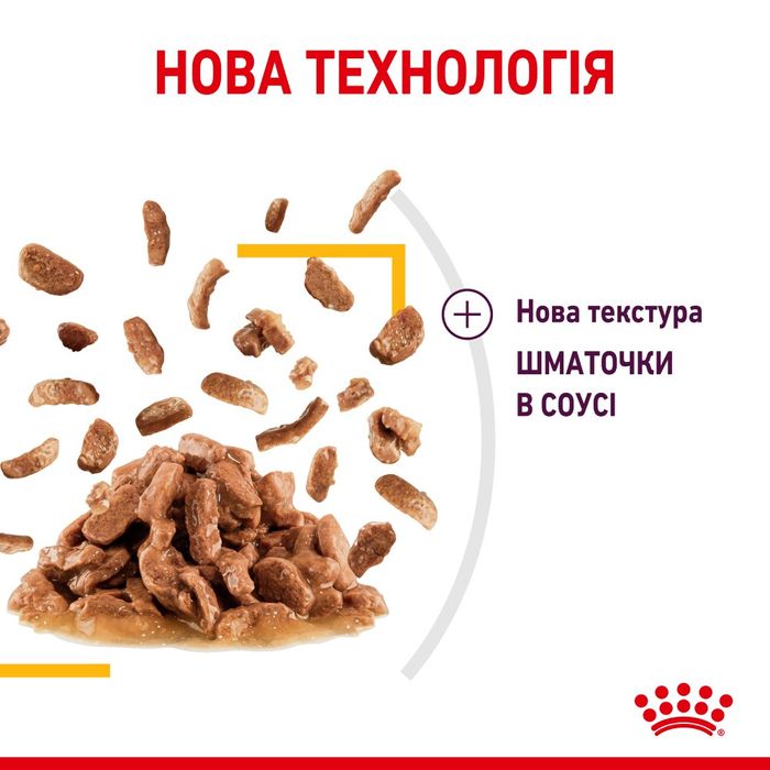 Вологий корм для котів Royal Canin Sensory Taste Gravy pouch 85 г - masterzoo.ua