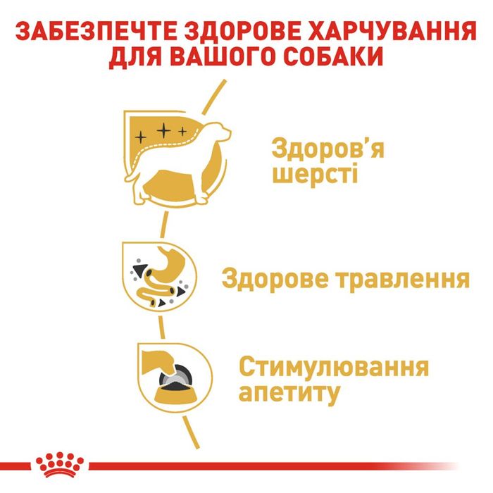 Вологий корм для собак Royal Canin Chihuahua Adult pouch 85 г - masterzoo.ua