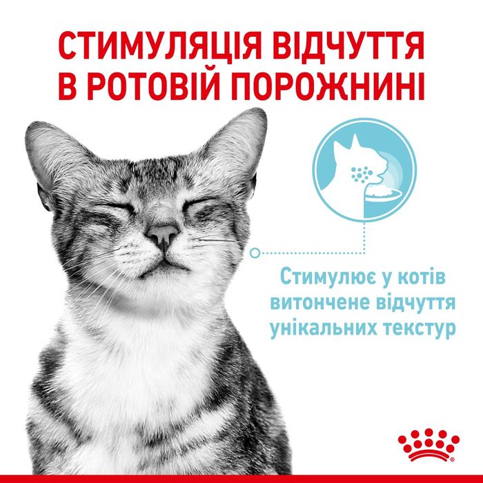 Вологий корм для котів Royal Canin Sensory Feel Gravy pouch 85 г - masterzoo.ua