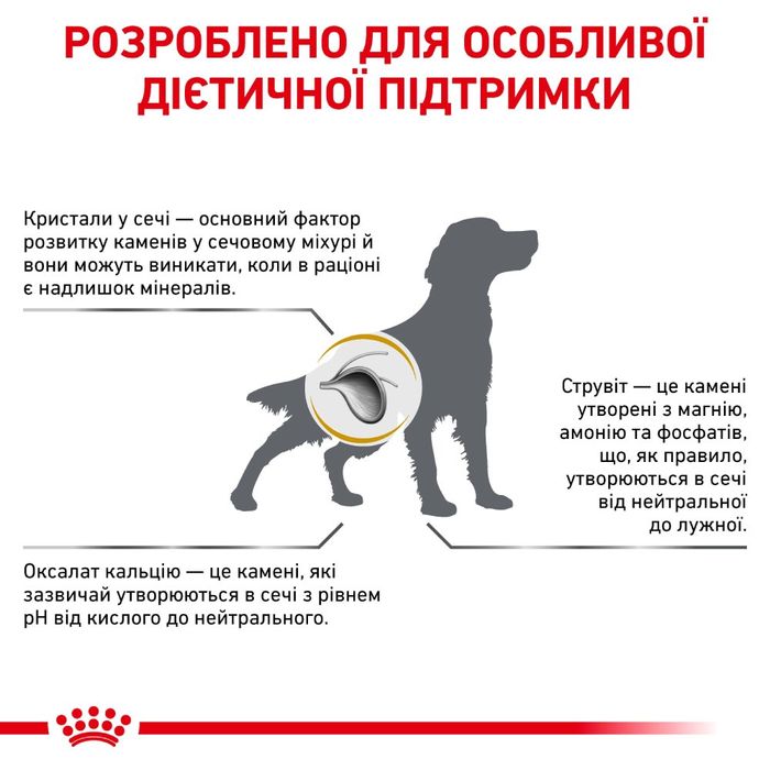 Сухий корм для собак Royal Canin Urinary S/O 13 кг - masterzoo.ua