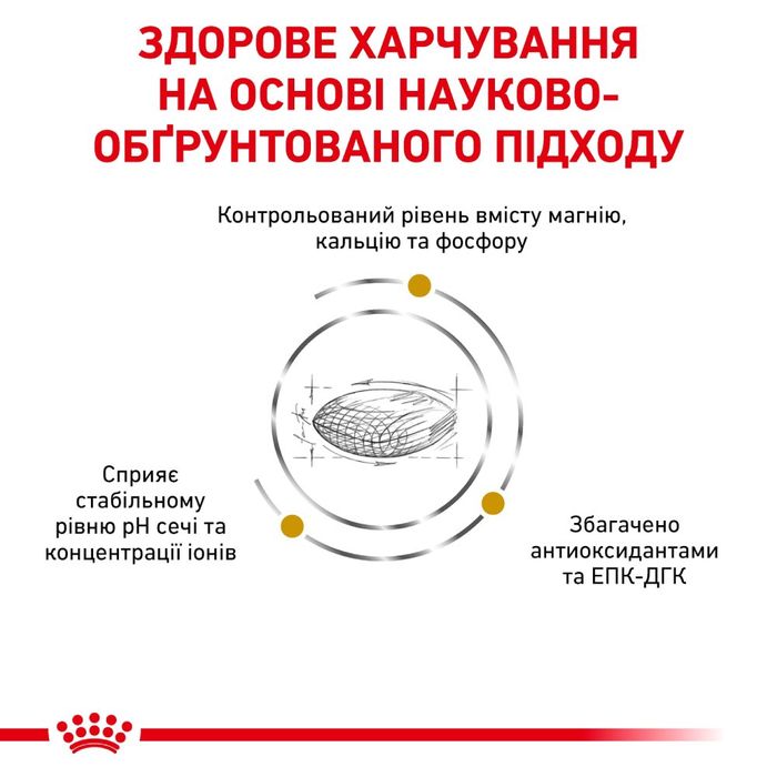 Сухий корм для собак Royal Canin Urinary S/O 13 кг - masterzoo.ua