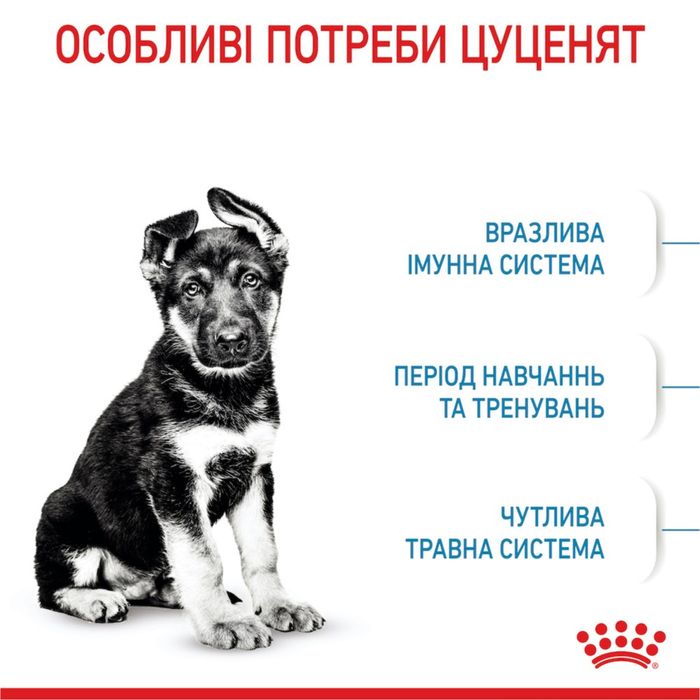 Сухий корм для цуценят Royal Canin Maxi Puppy 4 кг - masterzoo.ua