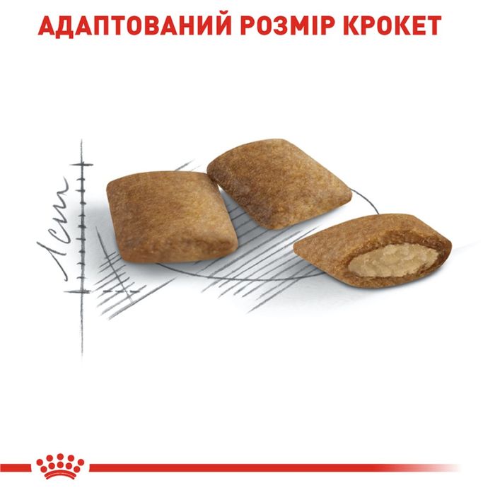 Сухий корм для котів Royal Canin Ageing 12+, 2 кг - masterzoo.ua