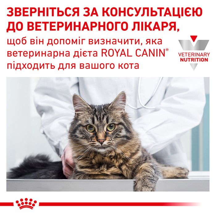 Вологий корм для котів Royal Canin Gastro Intestinal Gravy pouch 85 г - masterzoo.ua