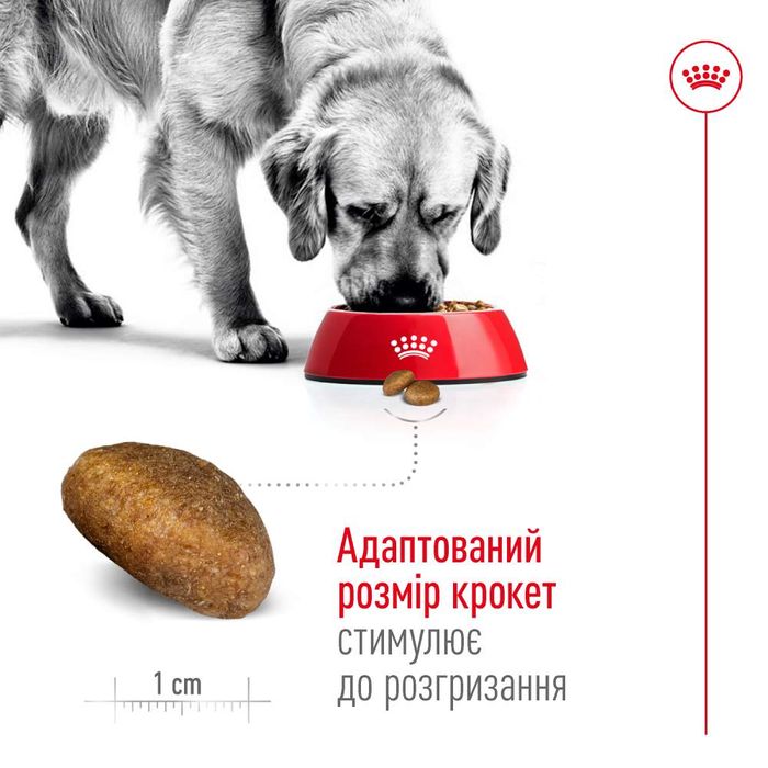 Сухий корм для собак Royal Canin Maxi Adult 15 кг - masterzoo.ua