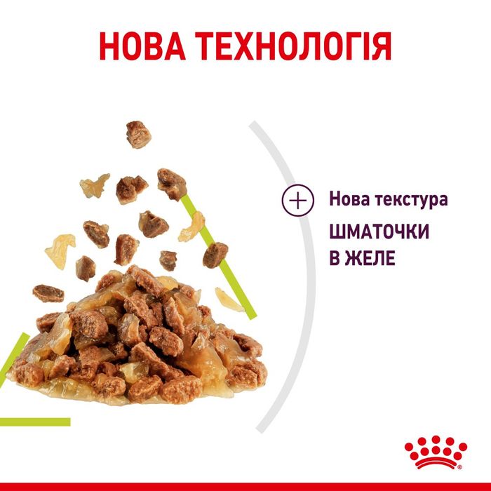 Вологий корм для котів Royal Canin Sensory Smell Jelly pouch 85 г - masterzoo.ua