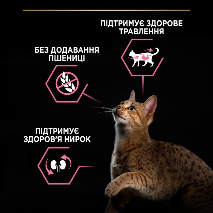 Сухий корм для котів з чутливим травленням Pro Plan Delicate Turkey 10 кг - індичка - masterzoo.ua