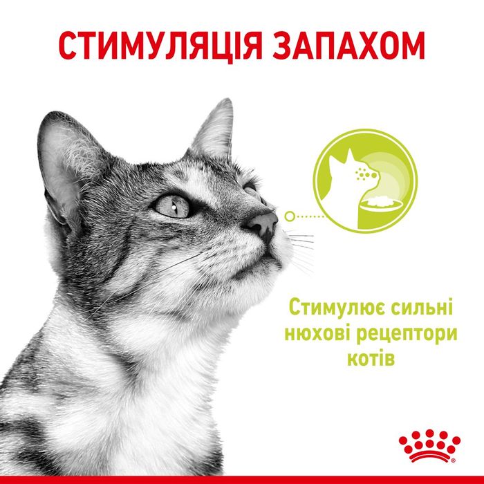 Вологий корм для котів Royal Canin Sensory Smell Jelly pouch 85 г - masterzoo.ua