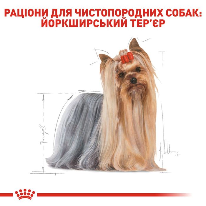 Вологий корм для собак Royal Canin Yorkshire Terrier Adult pouch 85 г - masterzoo.ua