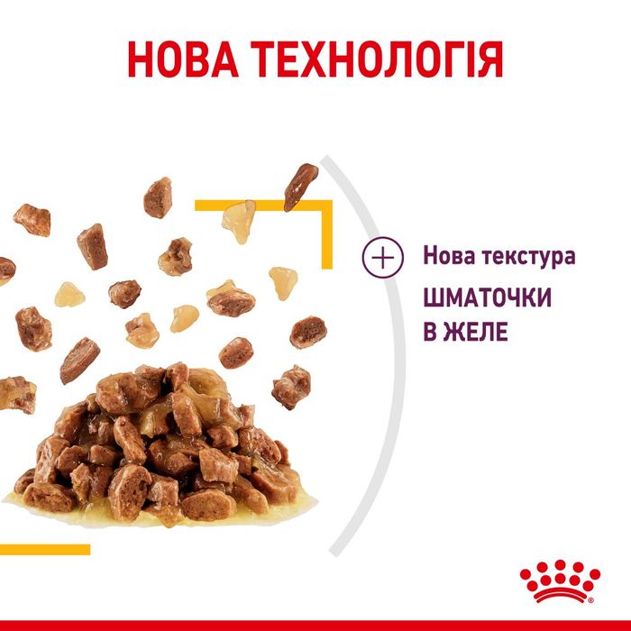 Вологий корм для котів Royal Canin Sensory Taste Jelly pouch 85 г - masterzoo.ua