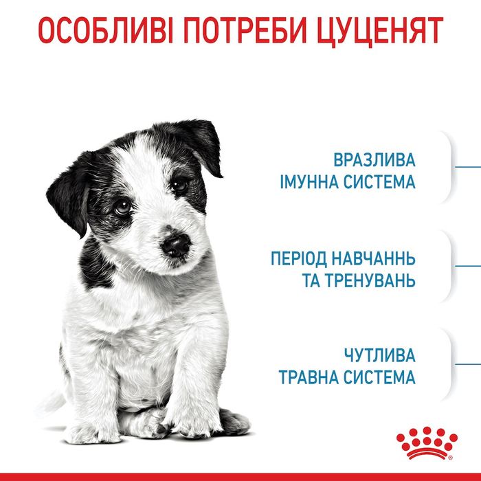 Сухий корм для цуценят Royal Canin Mini Puppy 800 г - masterzoo.ua