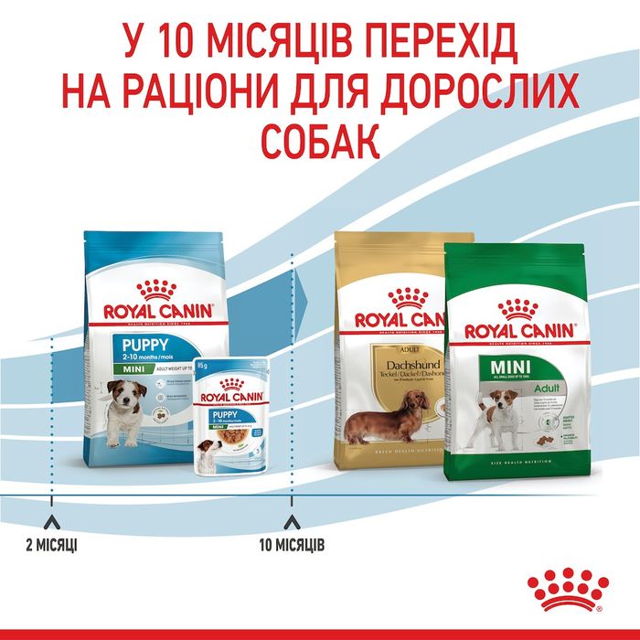 Сухий корм для цуценят Royal Canin Mini Puppy 800 г - masterzoo.ua