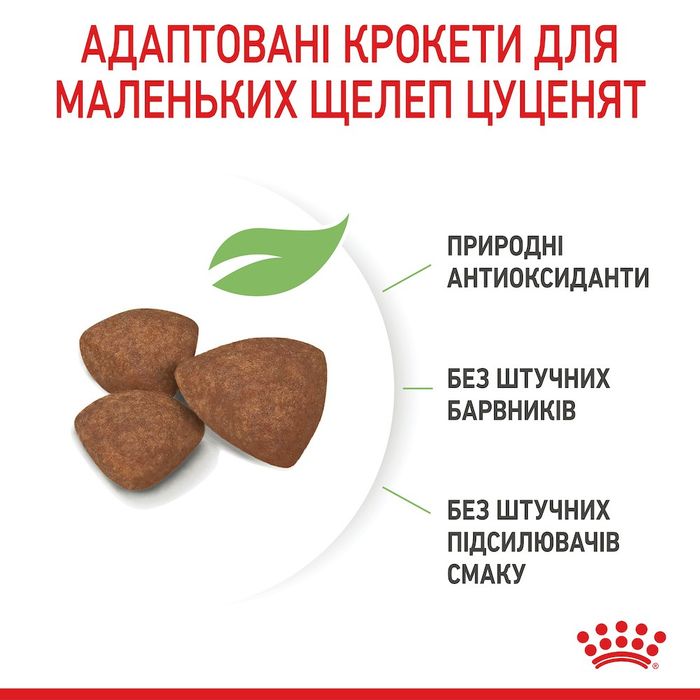 Сухий корм для цуценят Royal Canin Mini Puppy 800 г - masterzoo.ua