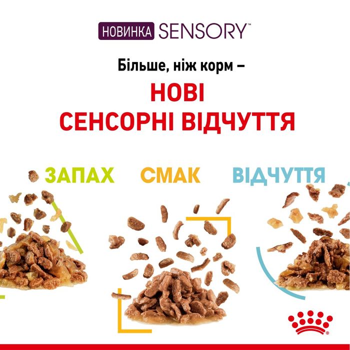 Вологий корм для котів Royal Canin Sensory Feel Jelly pouch 85 г - masterzoo.ua