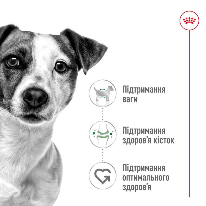 Вологий корм для собак Royal Canin Mini Adult pouch 85 г - masterzoo.ua