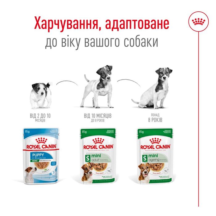 Вологий корм для собак Royal Canin Mini Adult pouch 85 г - masterzoo.ua