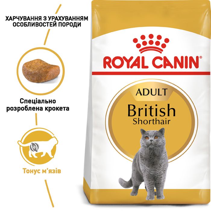 Сухий корм для котів породи британська короткошерста Royal Canin British Shorthair Adult 10 кг - masterzoo.ua