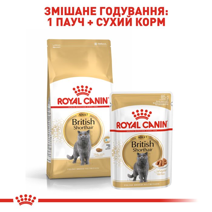 Сухий корм для котів породи британська короткошерста Royal Canin British Shorthair Adult 10 кг - masterzoo.ua