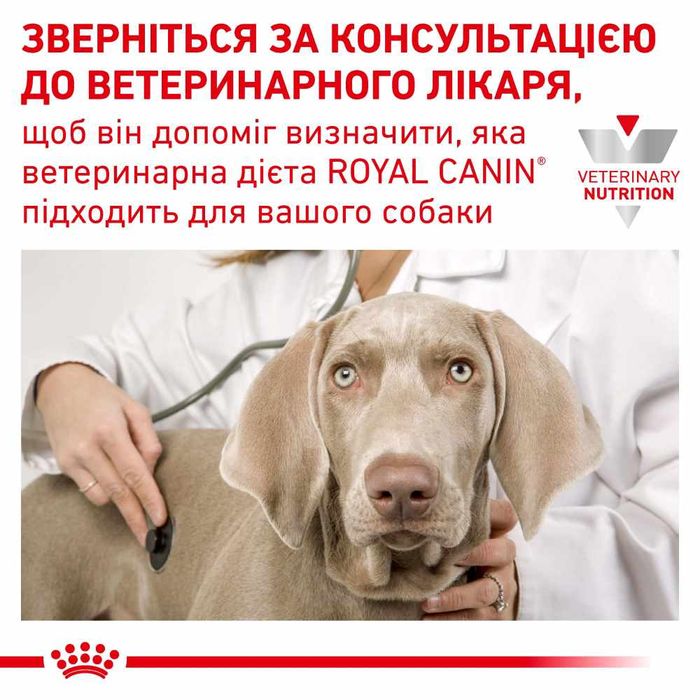 Сухий корм для собак Royal Canin Urinary S/O Small 1,5 кг - masterzoo.ua