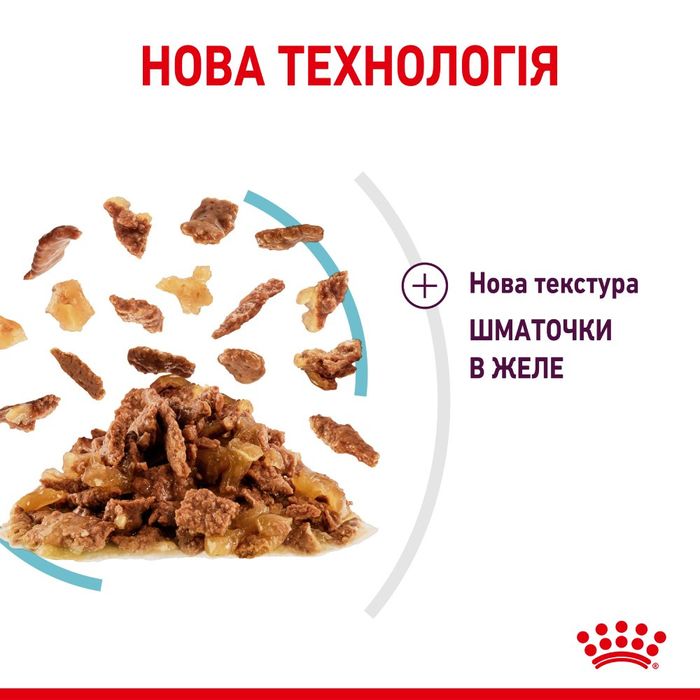 Вологий корм для котів Royal Canin Sensory Feel Jelly pouch 85 г - masterzoo.ua