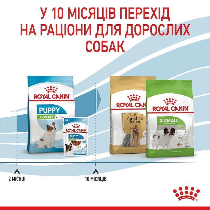 Сухий корм для цуценят Royal Canin X-Small Puppy 500 г - masterzoo.ua