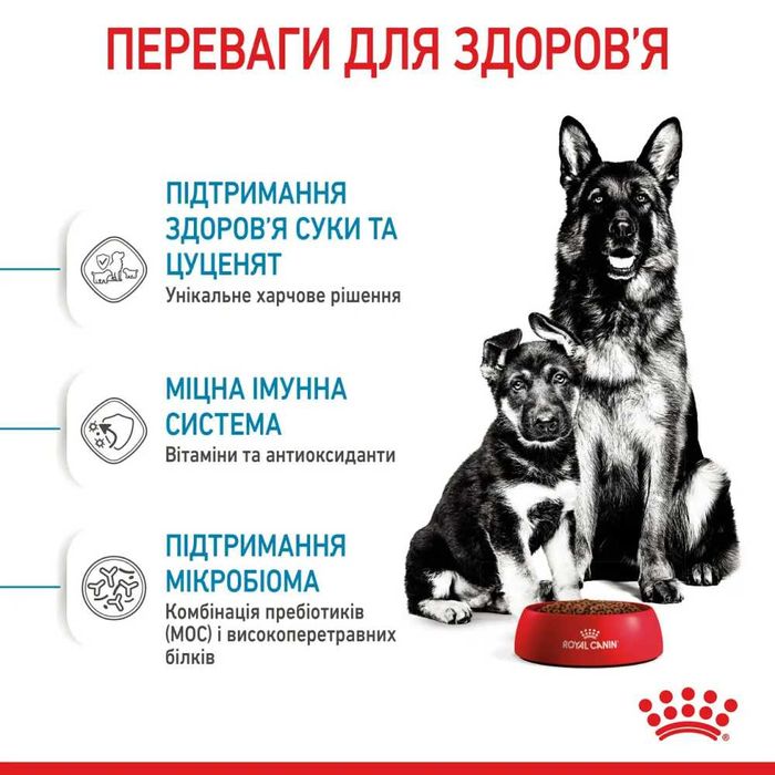 Сухий корм для цуценят Royal Canin Maxi Starter 4 кг - masterzoo.ua