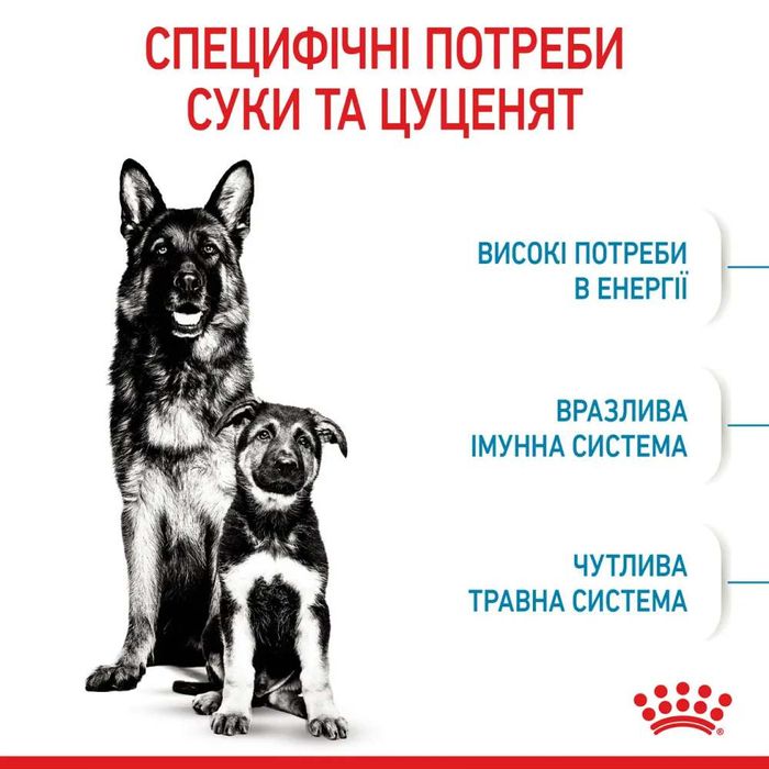 Сухий корм для цуценят Royal Canin Maxi Starter 4 кг - masterzoo.ua