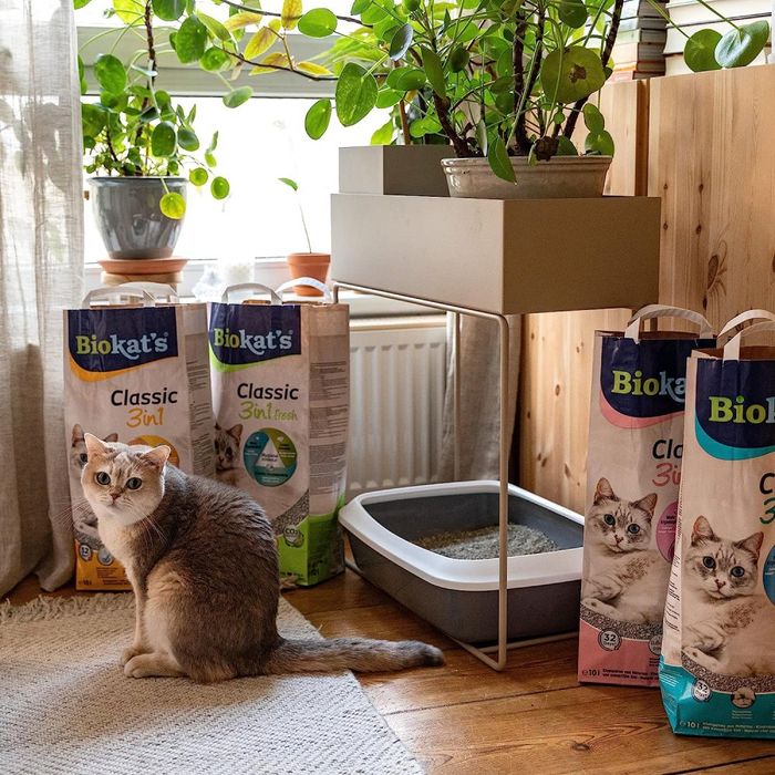 Наповнювач туалета для котів Biokat's Classic Fresh 3in1 Cotton Blossom 10 л (бентонітовий) - masterzoo.ua