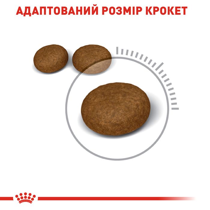 Сухий корм для котів Royal Canin Hair & Skin 4 кг - masterzoo.ua