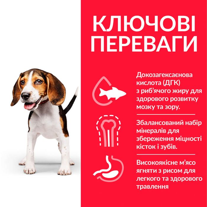 Сухий корм для цуценят Hill’s Science Plan Puppy Medium Breed 2,5 кг - ягня та рис - masterzoo.ua