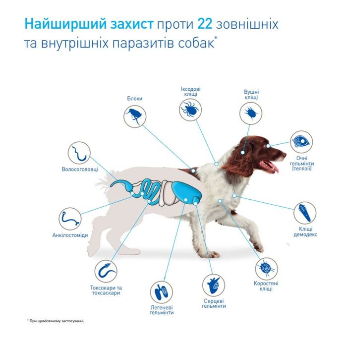 Таблетки Boehringer Ingelheim NexGard Spectra від 2 до 3,5 кг, 3 таблетки - masterzoo.ua