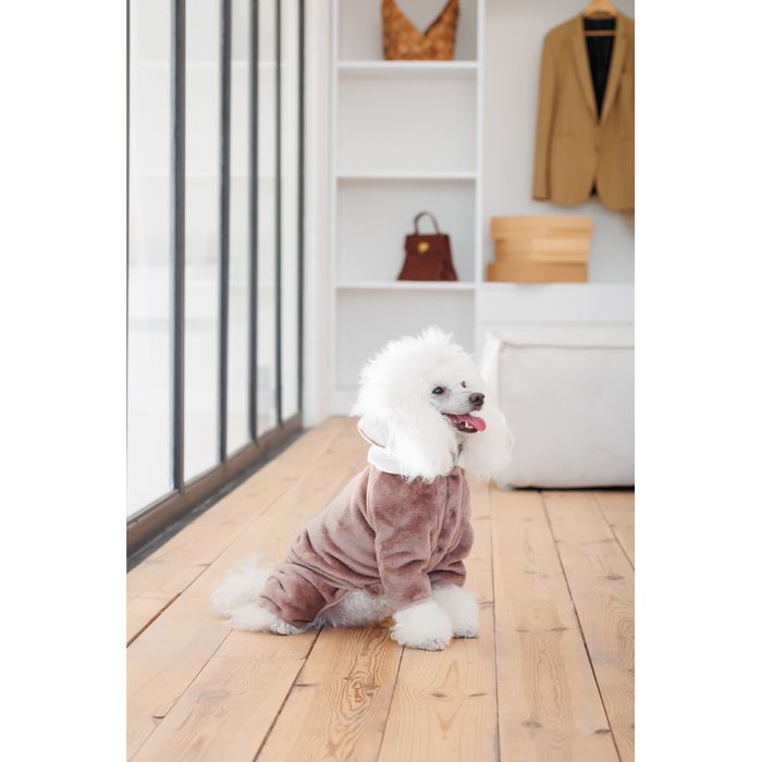 Костюм для собак Pet Fashion Alf XXS - masterzoo.ua