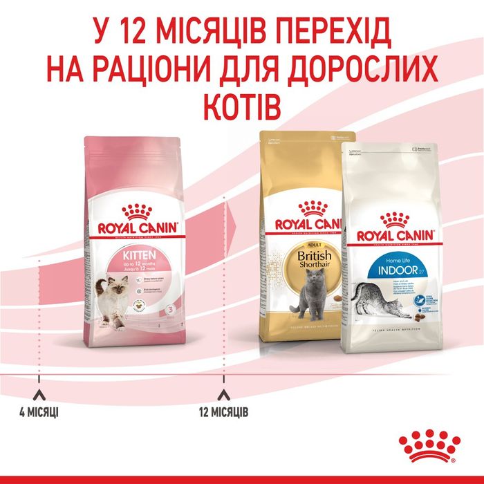 Сухий корм для кошенят Royal Canin Kitten 4 кг - masterzoo.ua