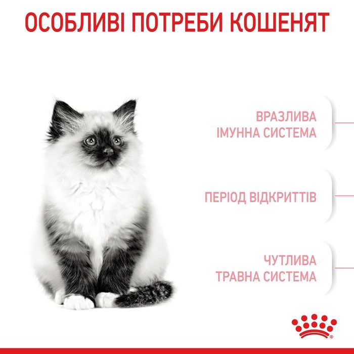 Сухий корм для кошенят Royal Canin Kitten 4 кг - masterzoo.ua